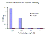 Seasonal H1N1 Neuraminidase Monoclonal Antibody from Signalway Antibody (26046) - Antibodies.com