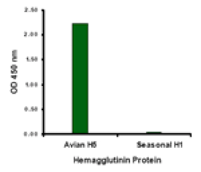 Avian Influenza Hemagglutinin 2 Antibody from Signalway Antibody (24449) - Antibodies.com