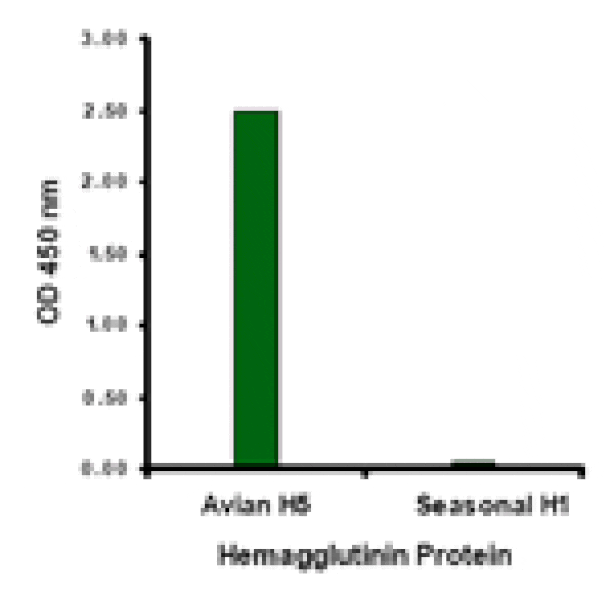Avian Influenza Hemagglutinin 3 Antibody from Signalway Antibody (24450) - Antibodies.com