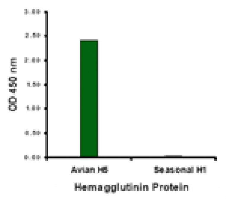 Avian Influenza Hemagglutinin 4 Antibody from Signalway Antibody (24451) - Antibodies.com