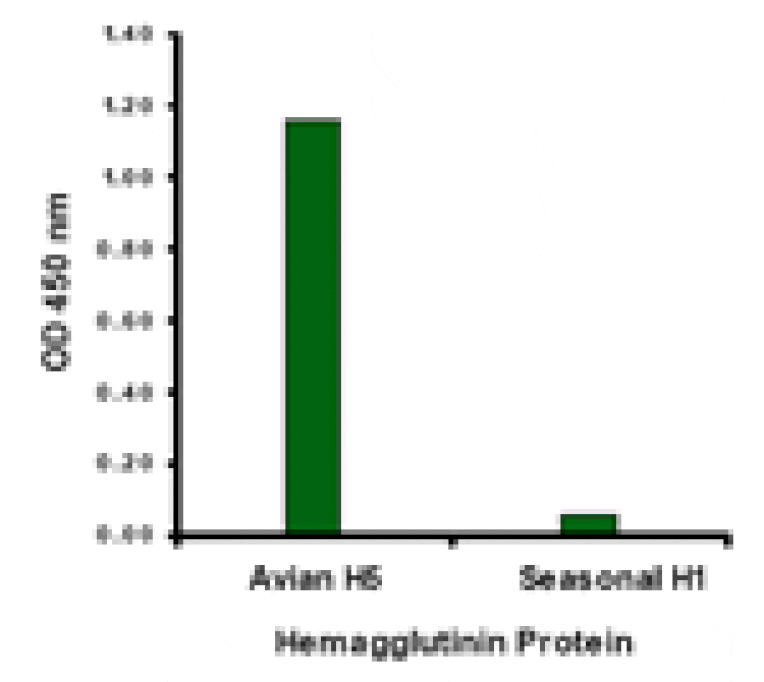 Avian Influenza Hemagglutinin 1 Antibody from Signalway Antibody (24454) - Antibodies.com