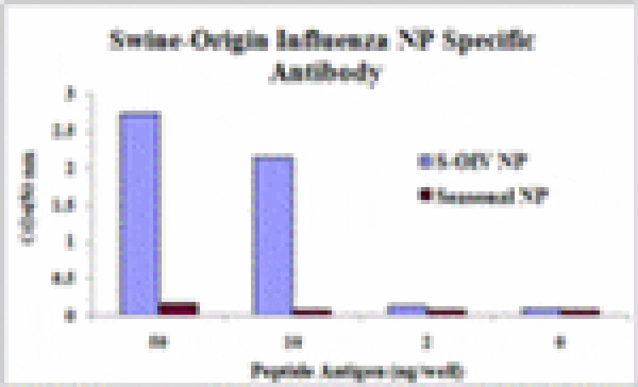 Swine H1N1 Nucleocapsid Protein Antibody from Signalway Antibody (25099) - Antibodies.com