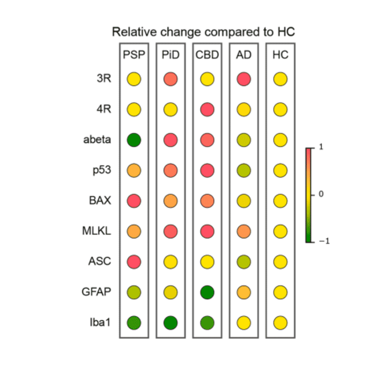 ELISA - Human Iba1 ELISA Kit (A5204) - Antibodies.com