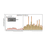 ELISA - Human GM2A ELISA Kit (A5238) - Antibodies.com Citation