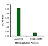 Avian Influenza Hemagglutinin Antibody from Signalway Antibody (24276) - Antibodies.com