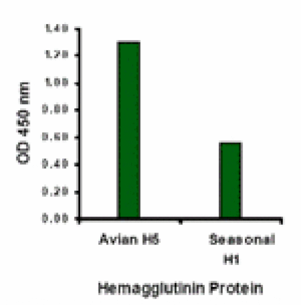 Avian Influenza Hemagglutinin Antibody from Signalway Antibody (24277) - Antibodies.com