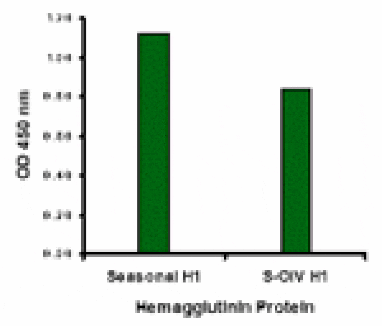 Seasonal H1N1 Hemagglutinin Antibody from Signalway Antibody (24921) - Antibodies.com
