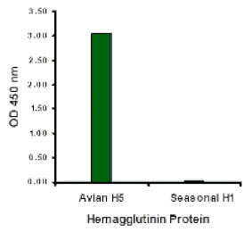 Hemagglutinin Monoclonal Antibody from Signalway Antibody (26005) - Antibodies.com