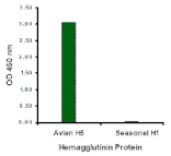Hemagglutinin Monoclonal Antibody from Signalway Antibody (26005) - Antibodies.com