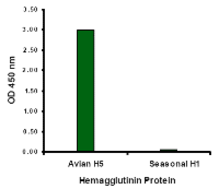 Hemagglutinin Monoclonal Antibody from Signalway Antibody (26006) - Antibodies.com
