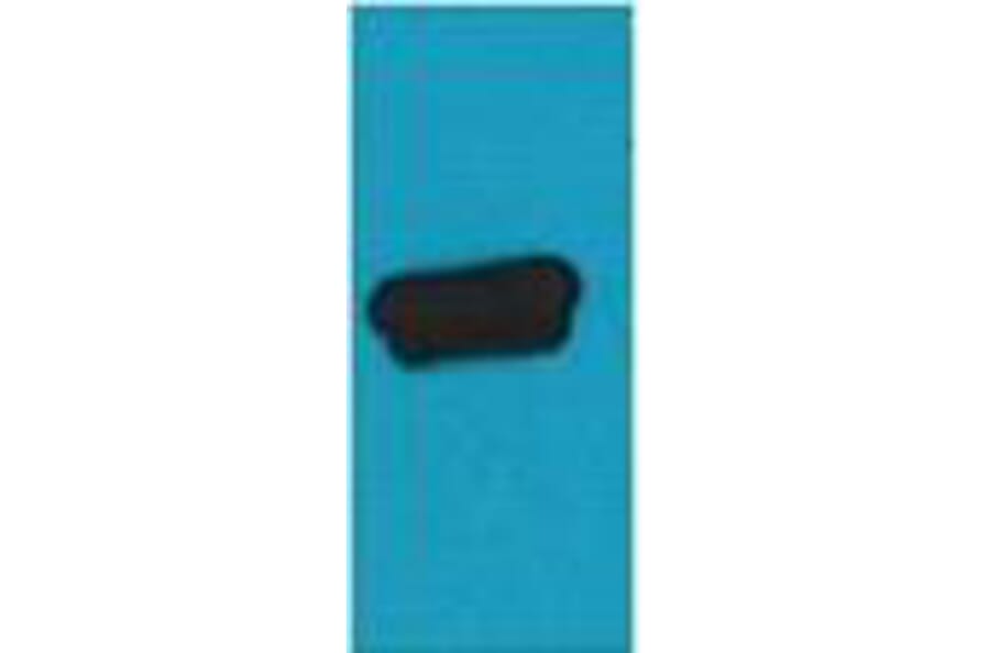 Western blot - AmCyan Monoclonal Antibody from Signalway Antibody (T614) - Antibodies.com