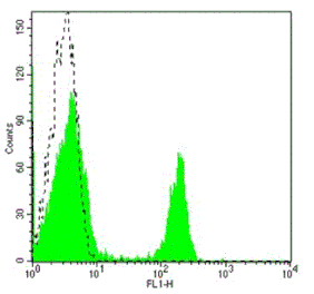 Rat anti-Mouse CD4, FITC Conjugated mAb from Signalway Antibody (28256) - Antibodies.com