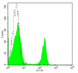 Rat anti-Mouse CD4, FITC Conjugated mAb from Signalway Antibody (28256) - Antibodies.com