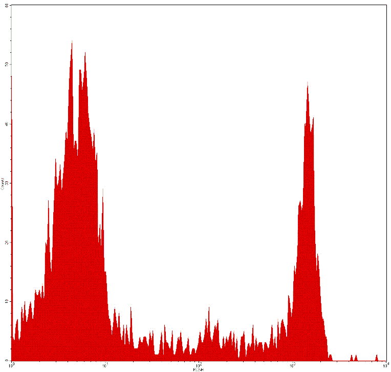 Mouse anti-Human CD8, PE Conjugated mAb from Signalway Antibody (28027) - Antibodies.com