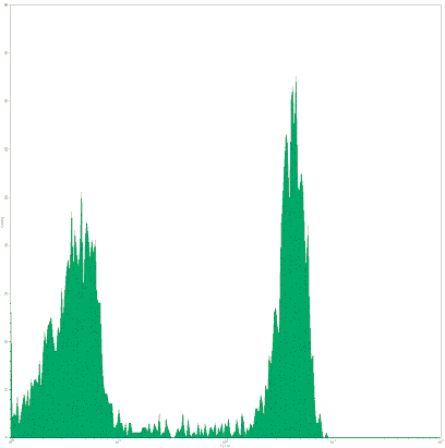 Mouse anti-Human CD8, FITC Conjugated mAb from Signalway Antibody (28026) - Antibodies.com