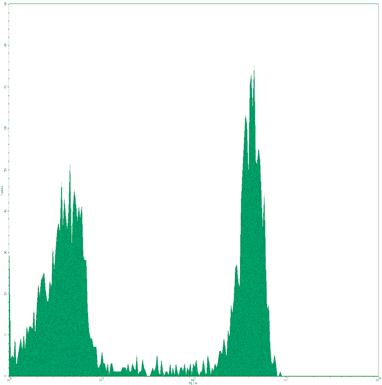 Mouse anti-Human CD8, FITC Conjugated mAb from Signalway Antibody (28026) - Antibodies.com