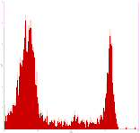 Mouse anti-Human CD8, Biotin Conjugated mAb from Signalway Antibody (28030) - Antibodies.com