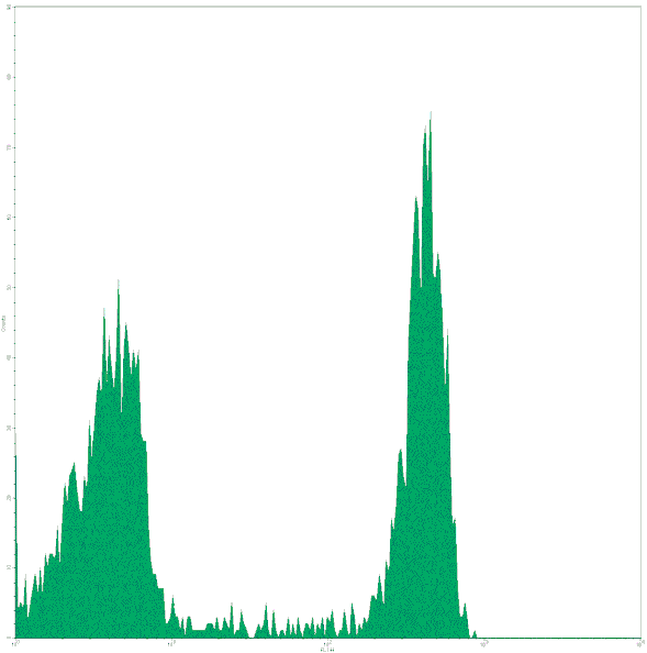 Mouse anti-Human CD8, APC Conjugated mAb from Signalway Antibody (28029) - Antibodies.com