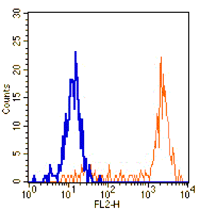 Mouse anti-Human CD64, PE Conjugated mAb from Signalway Antibody (28198) - Antibodies.com