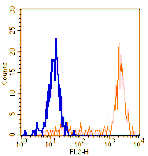 Mouse anti-Human CD64, PE Conjugated mAb from Signalway Antibody (28198) - Antibodies.com