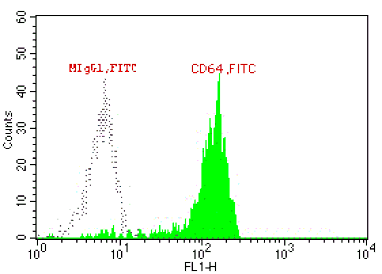 Mouse anti-Human CD64, FITC Conjugated mAb from Signalway Antibody (28197) - Antibodies.com