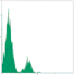 Mouse anti-Human CD56, FITC Conjugated mAb from Signalway Antibody (28176) - Antibodies.com