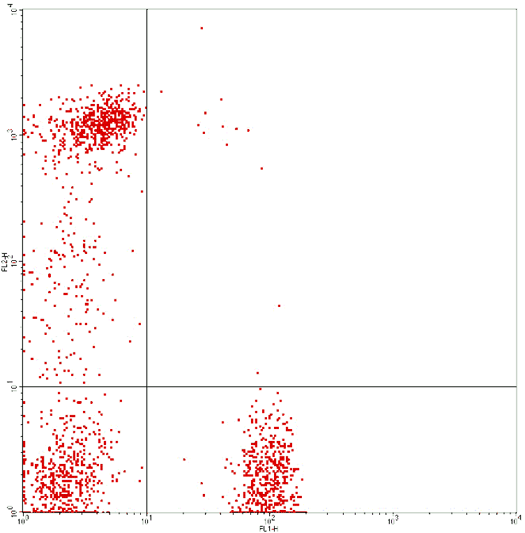 Mouse anti-Human CD4/CD8, FITC/PE Conjugated mAb from Signalway Antibody (28236) - Antibodies.com