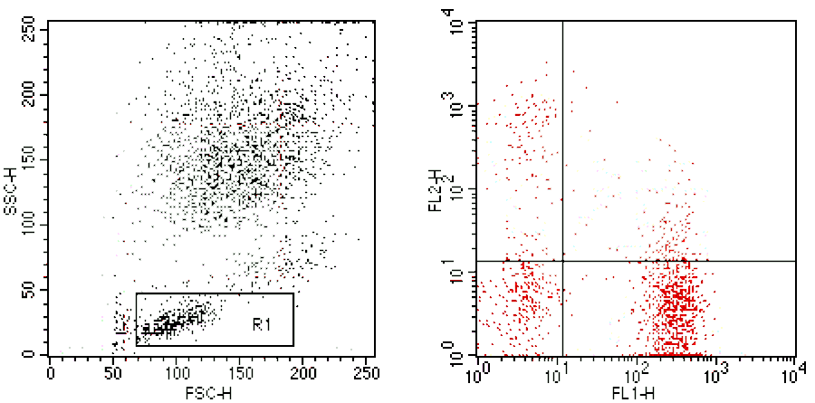 Mouse anti-Human CD3/HLA-DR, FITC/PE Conjugated mAb from Signalway Antibody (28239) - Antibodies.com