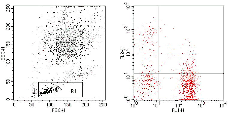 Mouse anti-Human CD3/HLA-DR, FITC/PE Conjugated mAb from Signalway Antibody (28239) - Antibodies.com