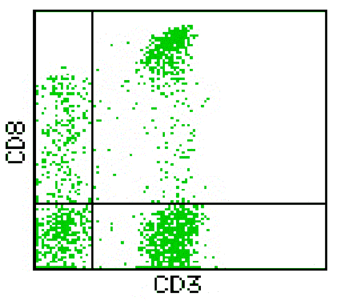 Mouse anti-Human CD3/CD8, FITC/PE Conjugated mAb from Signalway Antibody (28235) - Antibodies.com