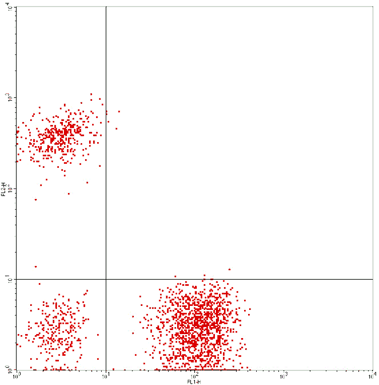 Mouse anti-Human CD3/CD19, FITC/PE Conjugated mAb from Signalway Antibody (28237) - Antibodies.com