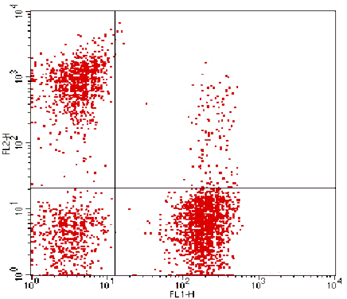 Mouse anti-Human CD3/CD16+56, FITC/PE Conjugated mAb from Signalway Antibody (28238) - Antibodies.com
