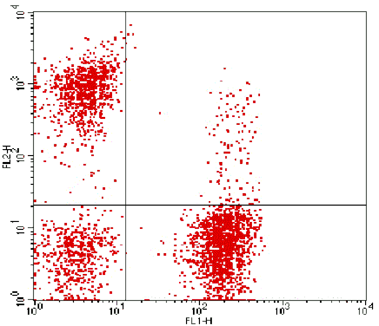 Mouse anti-Human CD3/CD16+56, FITC/PE Conjugated mAb from Signalway Antibody (28238) - Antibodies.com