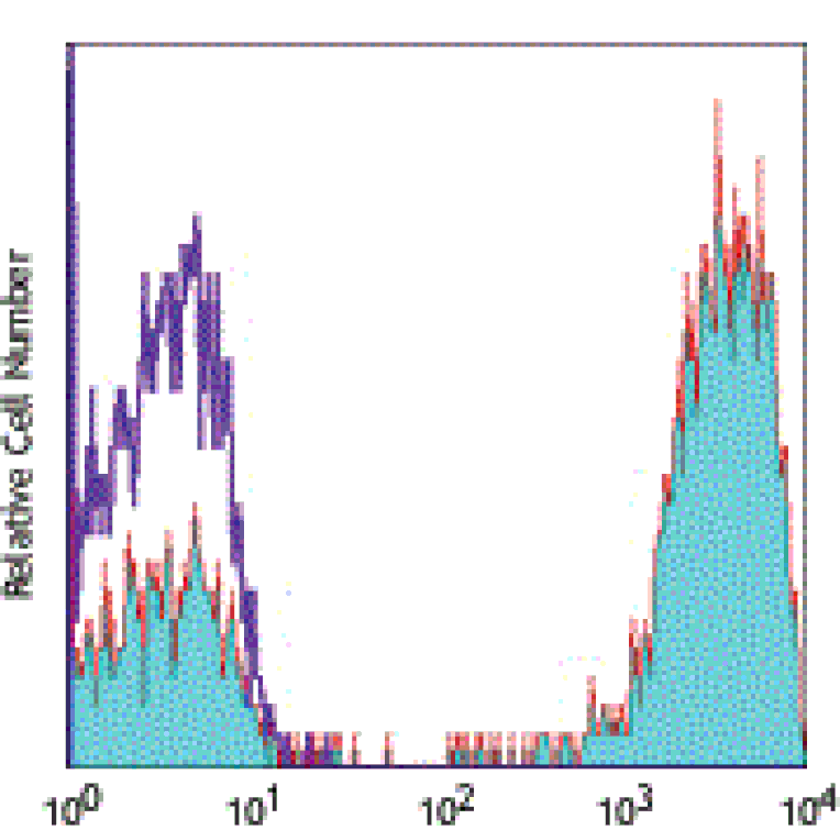 Mouse anti-Human CD3, Biotin Conjugated mAb from Signalway Antibody (28008) - Antibodies.com