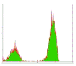 Mouse anti-Human CD3, Purified mAb from Signalway Antibody (28003) - Antibodies.com