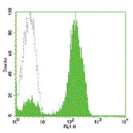 Mouse anti-Human CD2, FITC Conjugated mAb from Signalway Antibody (28002) - Antibodies.com