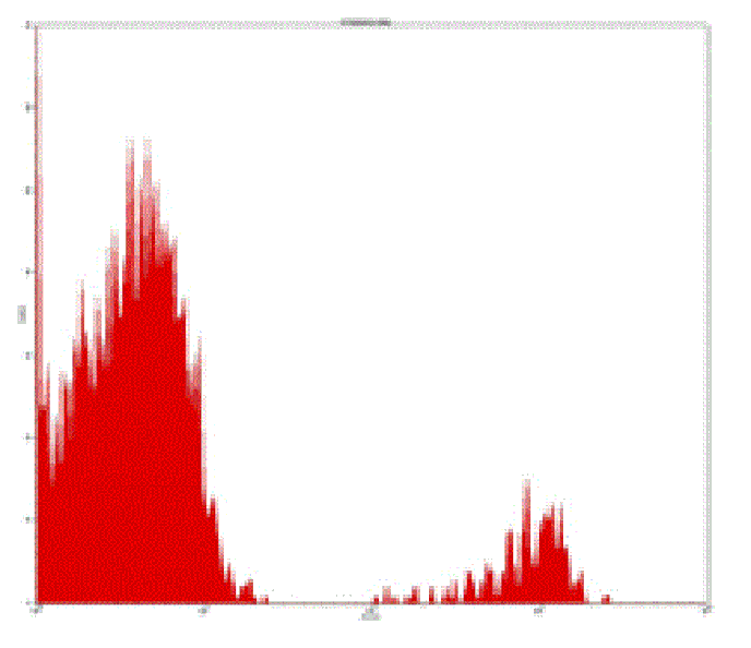 Mouse anti-Human CD19, PE-Cy5 Conjugated mAb from Signalway Antibody (28074) - Antibodies.com