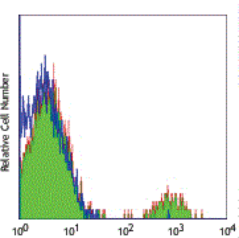 Mouse anti-Human CD19, Biotin Conjugated mAb from Signalway Antibody (28076) - Antibodies.com