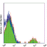 Mouse anti-Human CD19, Biotin Conjugated mAb from Signalway Antibody (28076) - Antibodies.com