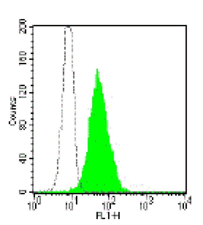 Mouse anti-Human CD10, FITC Conjugated mAb from Signalway Antibody (28036) - Antibodies.com