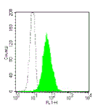 Mouse anti-Human CD10, FITC Conjugated mAb from Signalway Antibody (28036) - Antibodies.com