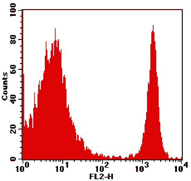 Rat anti-Mouse CD4, PE Conjugated mAb from Signalway Antibody (28257) - Antibodies.com
