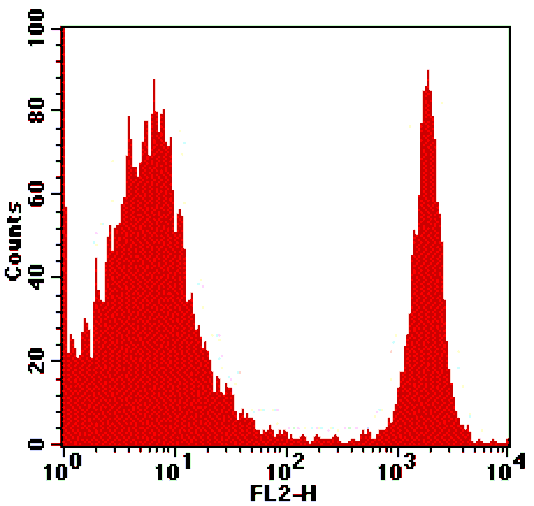 Rat anti-Mouse CD4, PE Conjugated mAb from Signalway Antibody (28257) - Antibodies.com