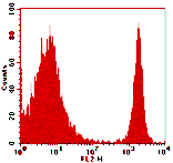 Rat anti-Mouse CD4, PE Conjugated mAb from Signalway Antibody (28257) - Antibodies.com