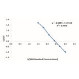 Standard Curve - SAH ELISA Kit from Arthus Biosystems (IK00301s) - Antibodies.com