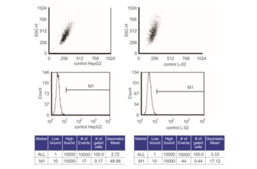 Flow Cytometry Control - Anti-SAM Antibody from Arthus Biosystems (MA00201) - Antibodies.com