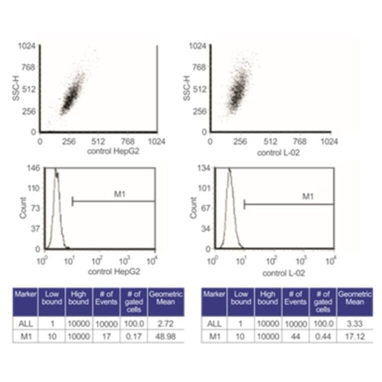 Flow Cytometry Control - Anti-SAM Antibody from Arthus Biosystems (MA00201) - Antibodies.com