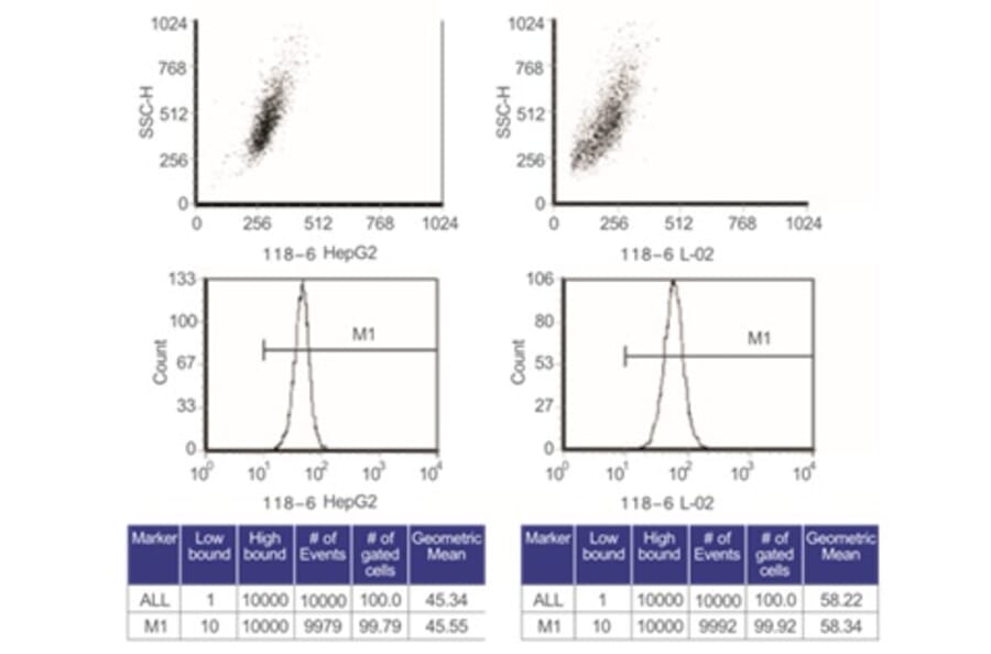 Flow Cytometry Control - Anti-SAM Antibody from Arthus Biosystems (MA00201) - Antibodies.com