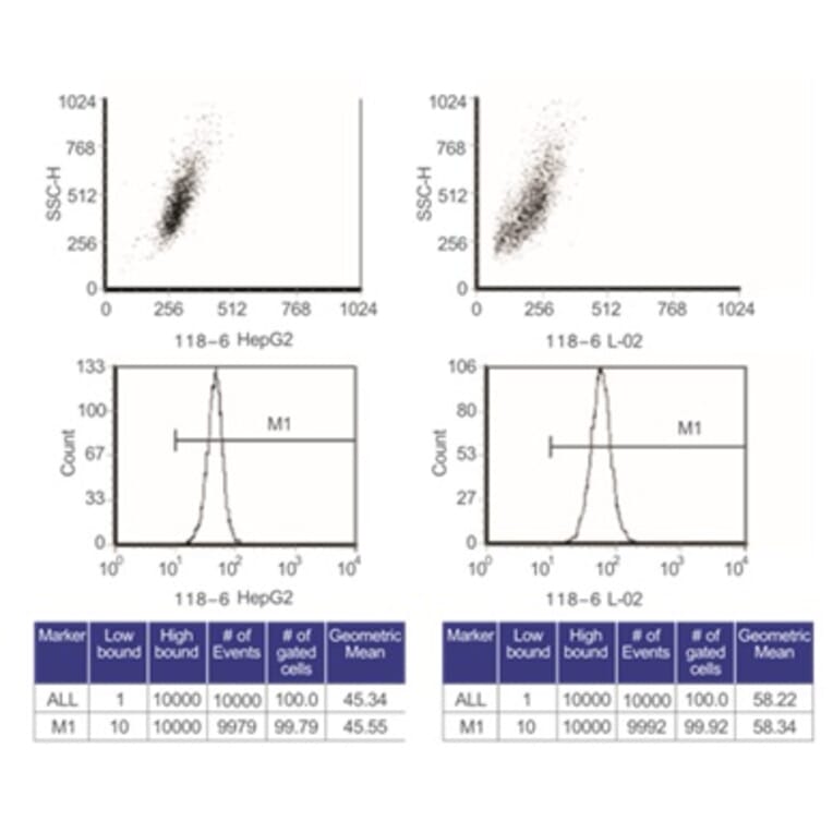 Flow Cytometry Control - Anti-SAM Antibody from Arthus Biosystems (MA00201) - Antibodies.com