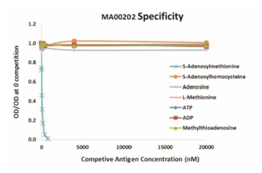 Standard Curve - Anti-SAM Antibody from Arthus Biosystems (MA00202) - Antibodies.com